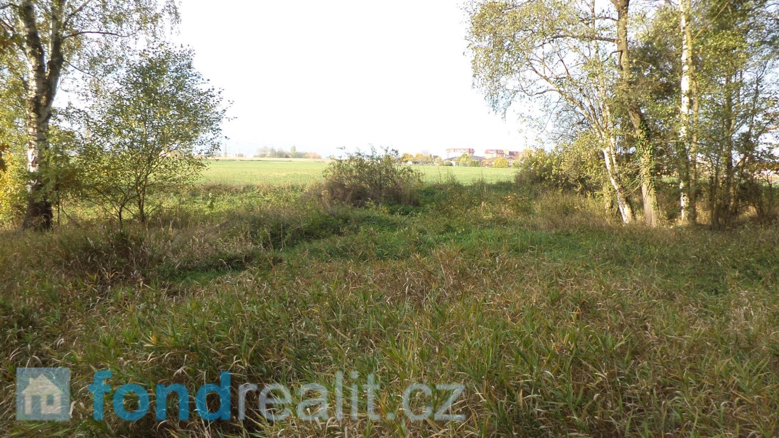 Prodej ostatních pozemků, 3 637 m² Planá nad Lužnicí (okres Tábor), obrázek 2