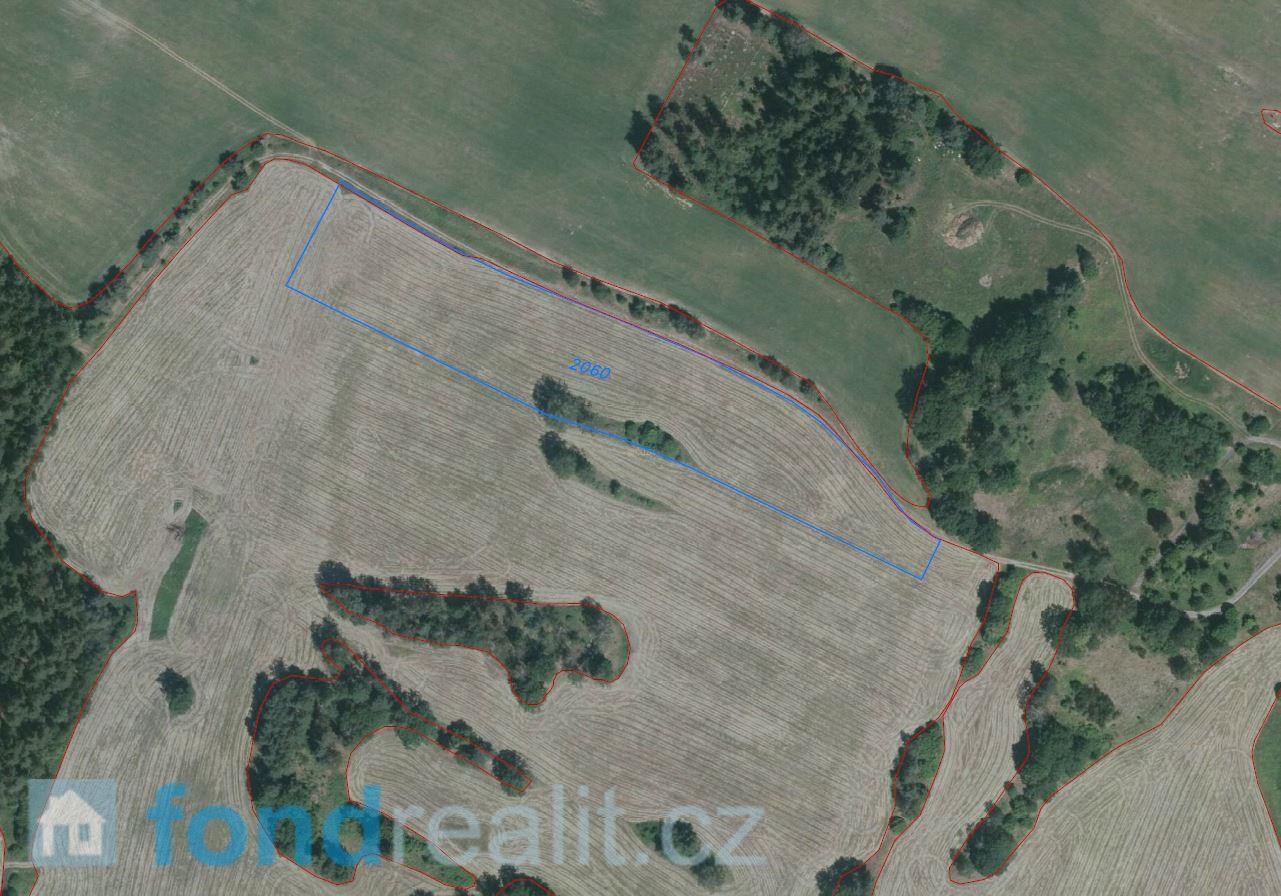 Prodej zemědělské půdy, 19 541 m² Číměř (okres Jindřichův Hradec), obrázek 2