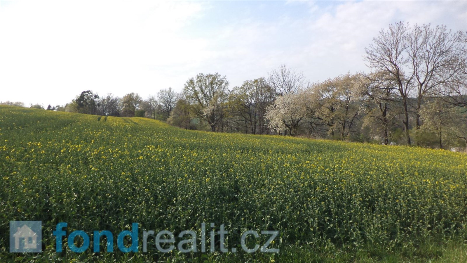 Prodej zemědělské půdy, 35 843 m² Brumovice (okres Opava), obrázek 7