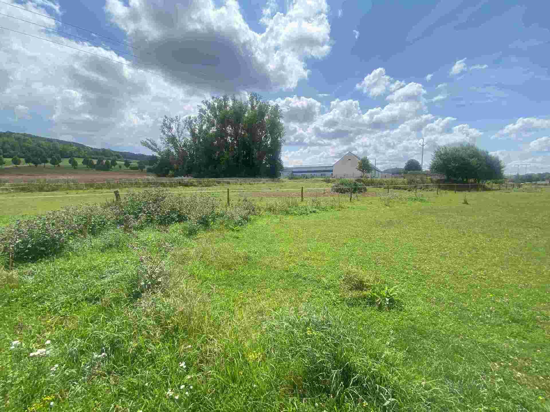 Prodej ostatního pozemku Útěchov 33 000 Kč, foto 1