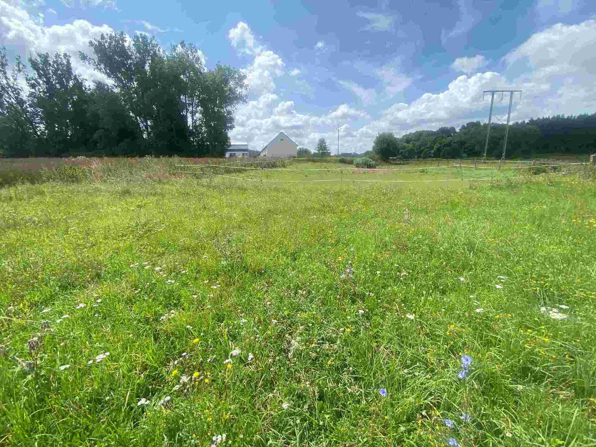 Prodej ostatního pozemku Útěchov 33 000 Kč, foto 3