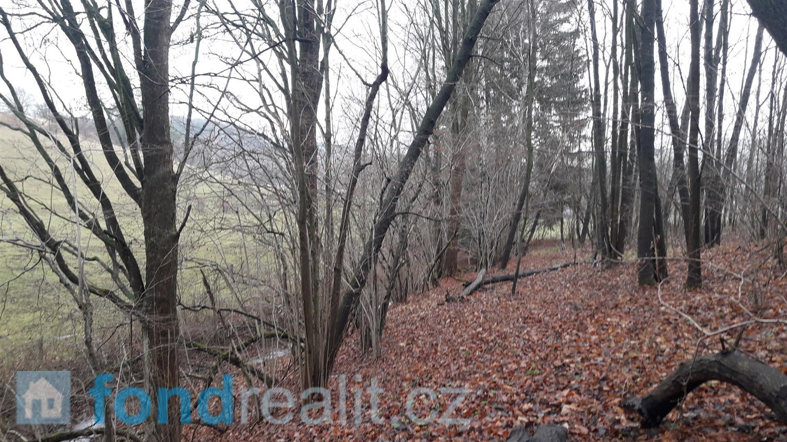 Prodej zemědělské půdy, 29 954 m² Teplice nad Metují (okres Náchod), obrázek 5