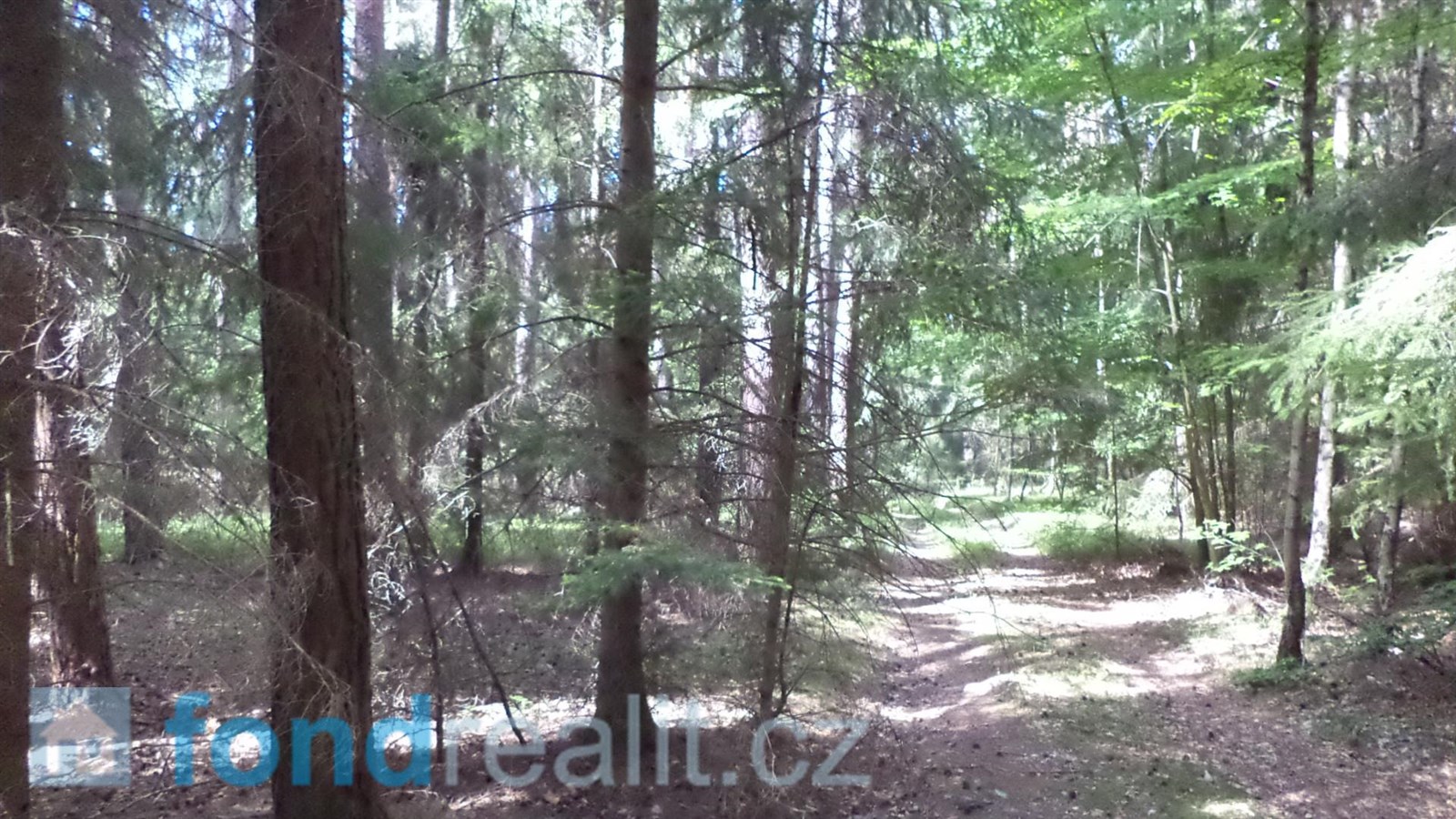 Prodej lesa, 74 416 m² Černýšovice (okres Tábor), obrázek 8