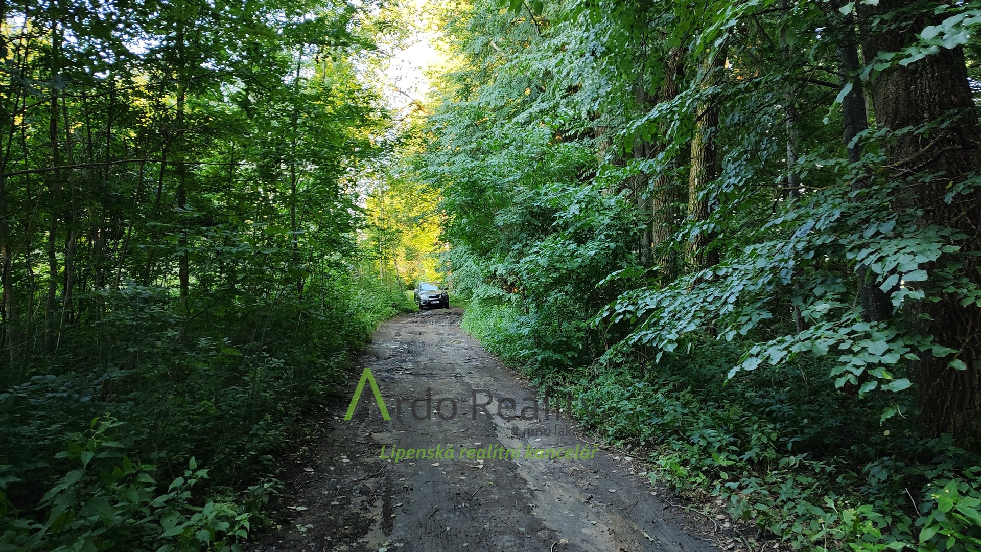 IMG_20220727_185527215