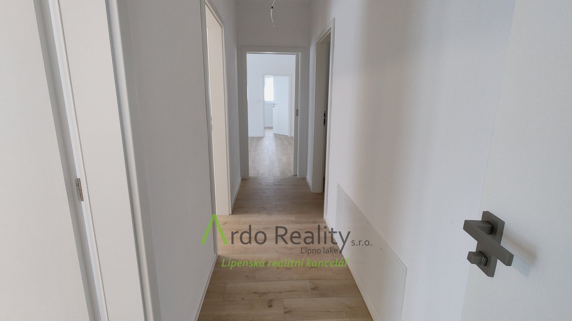 IMG_20241122_124553543