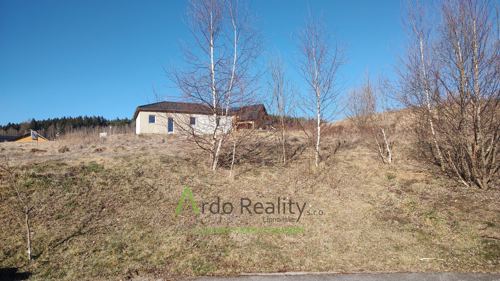 IMG_20250319_153928927