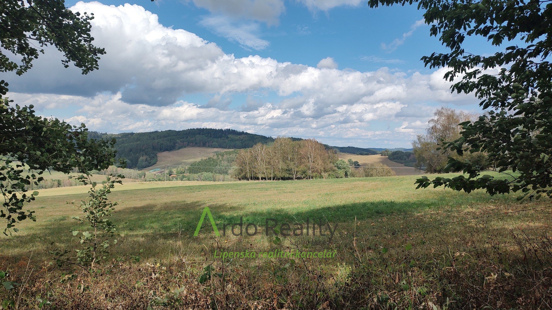 IMG_20260819_152555109