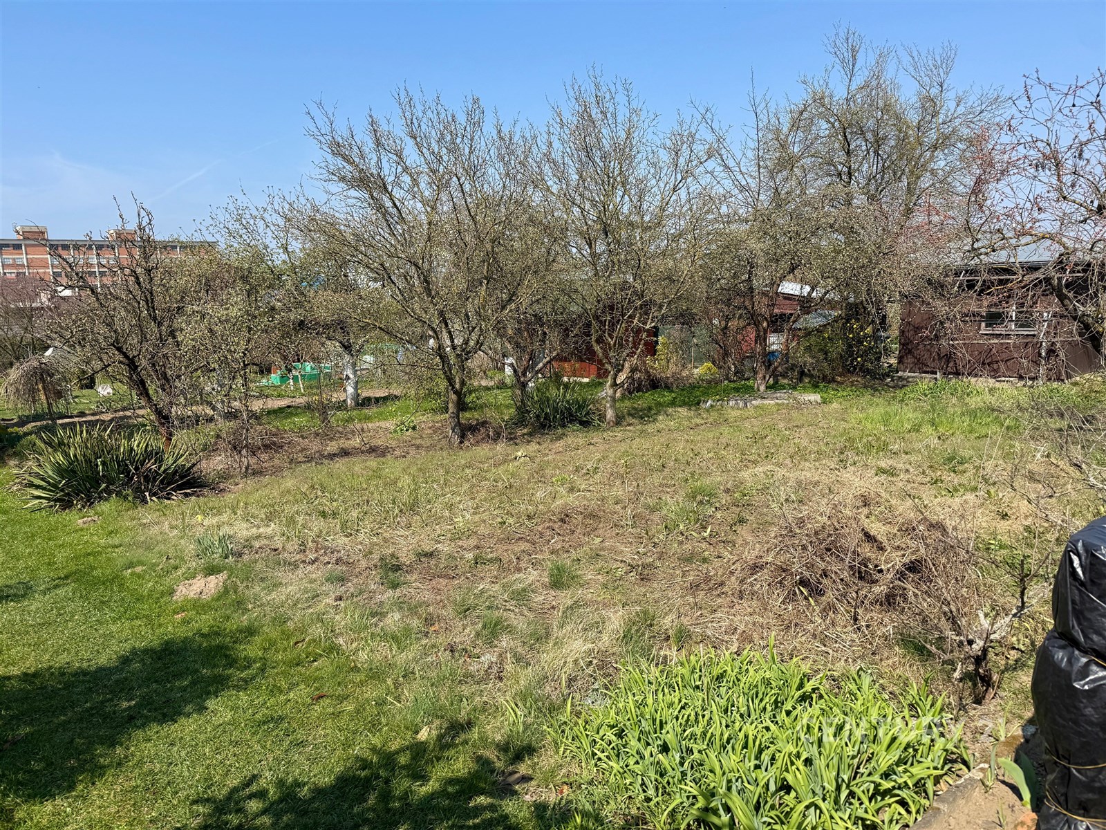 Zahrada s ovocnými stromy, trávníkem a přírodními 