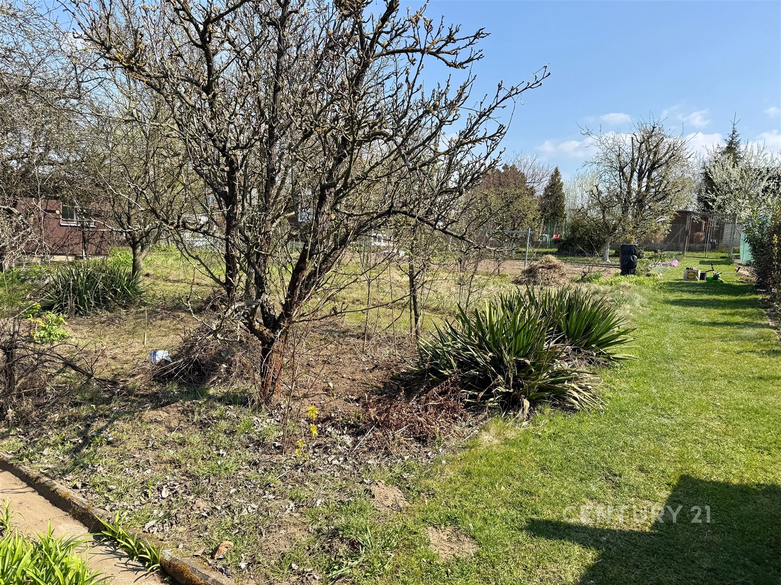 Prostorná zahrada s travnatou plochou, vzrostlými 