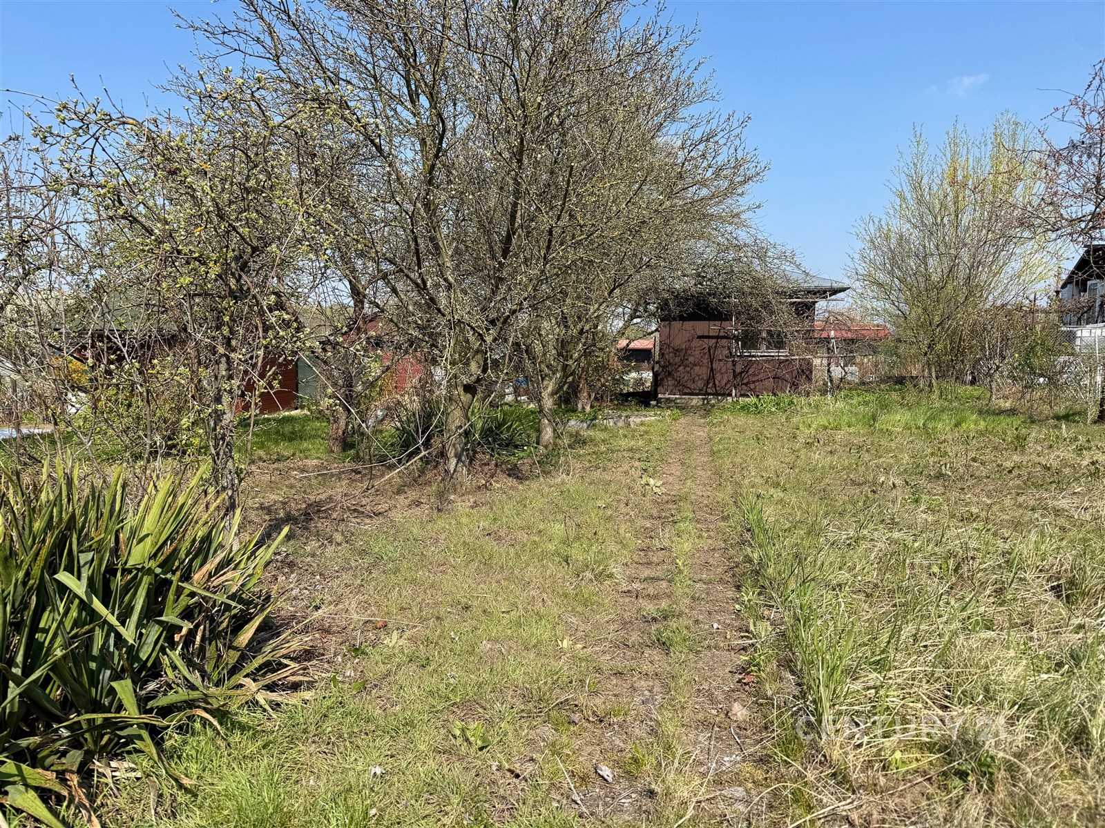 Zahrada s ovocnými stromy a travnatou plochou, vho