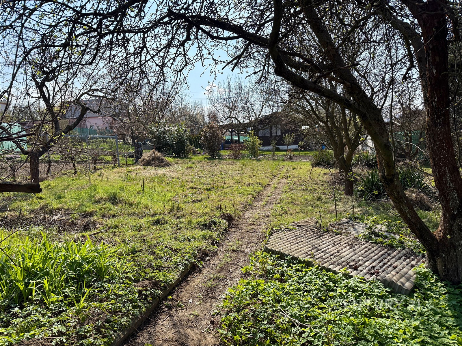Zahrada s ovocnými stromy a zelení, nacházející se