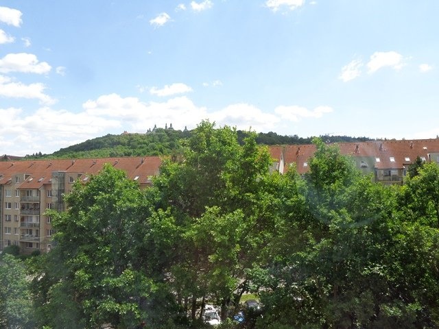 DSC07783