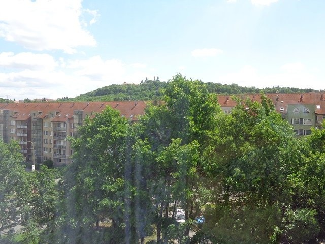 DSC07763