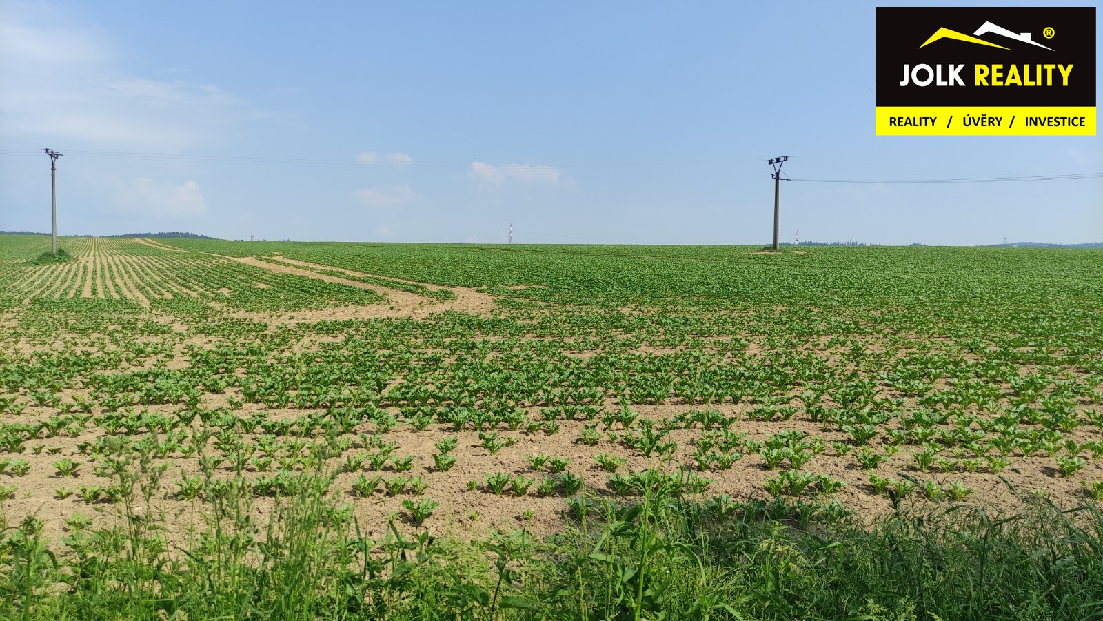 Realitní makléř Radek Svoboda; JOLK Reality; Výkup