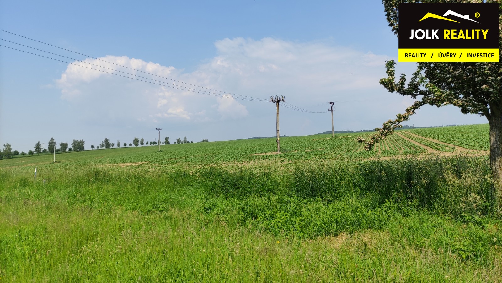 Realitní makléř Radek Svoboda; JOLK Reality; Výkup