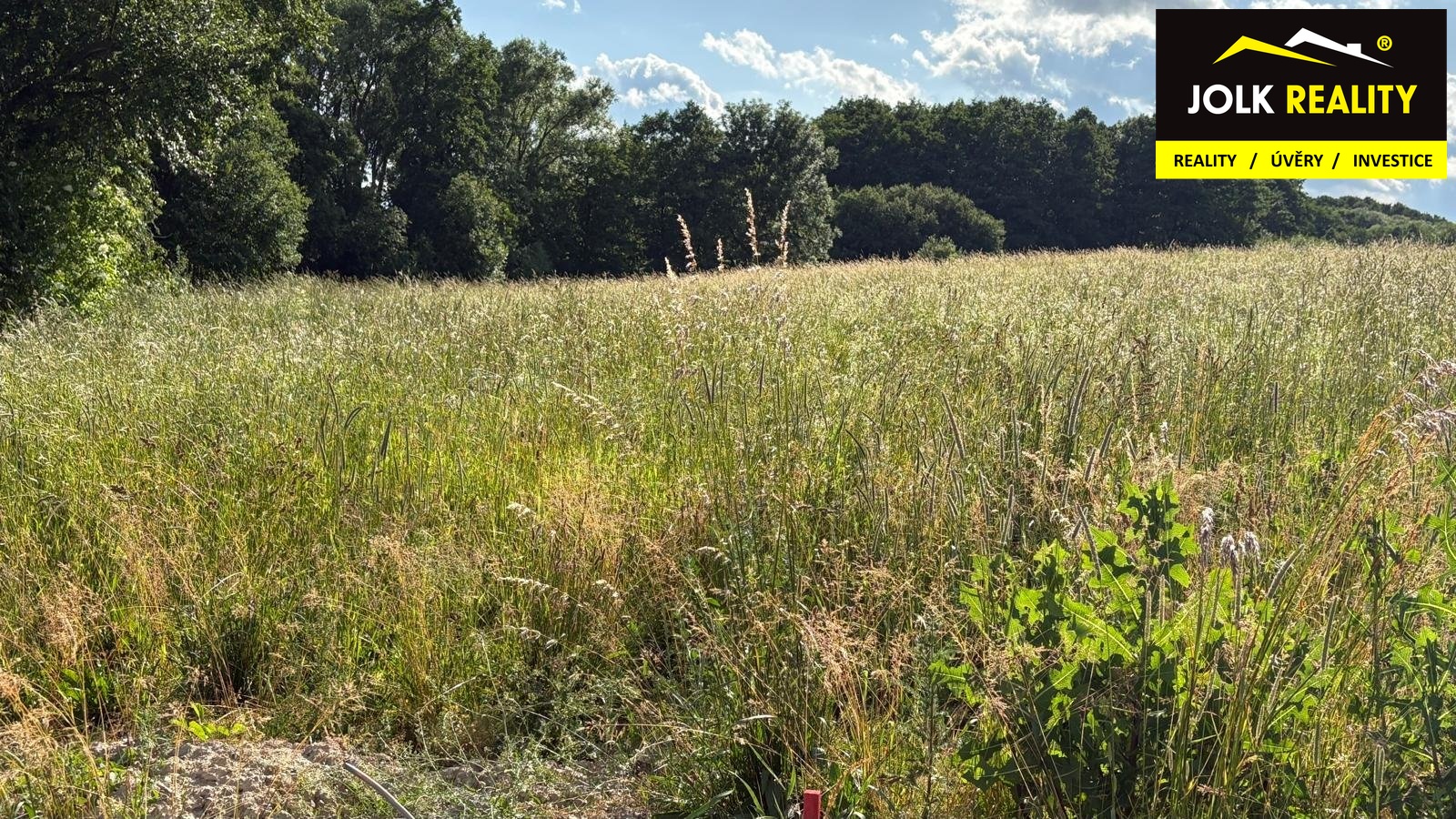 PHOTO-2025-07-07-15-08-34(3)