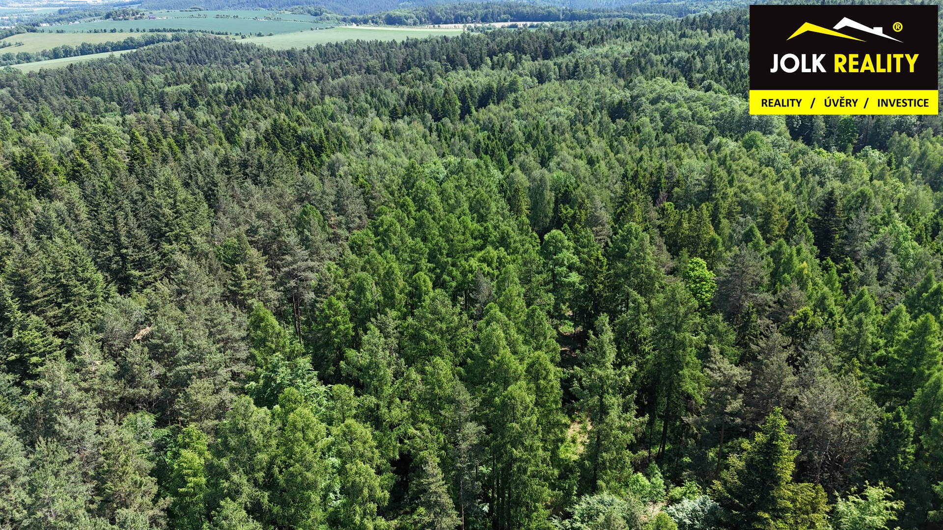Prodej Lesa 13.182m2; Radek Svoboda Vršovice (9)