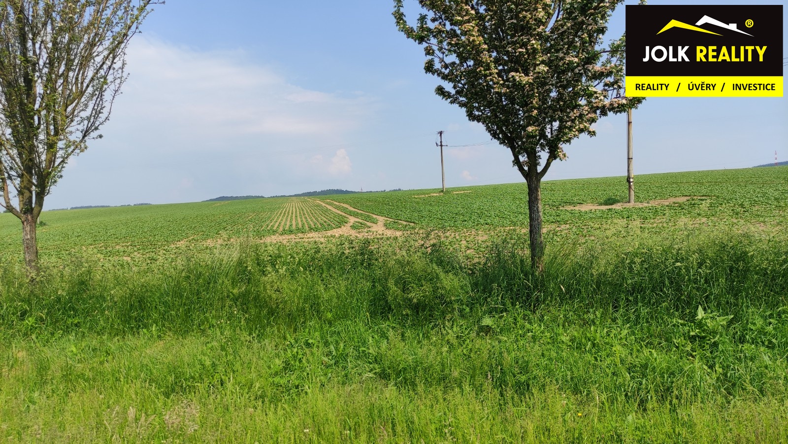 Realitní makléř Radek Svoboda; JOLK Reality; Výkup