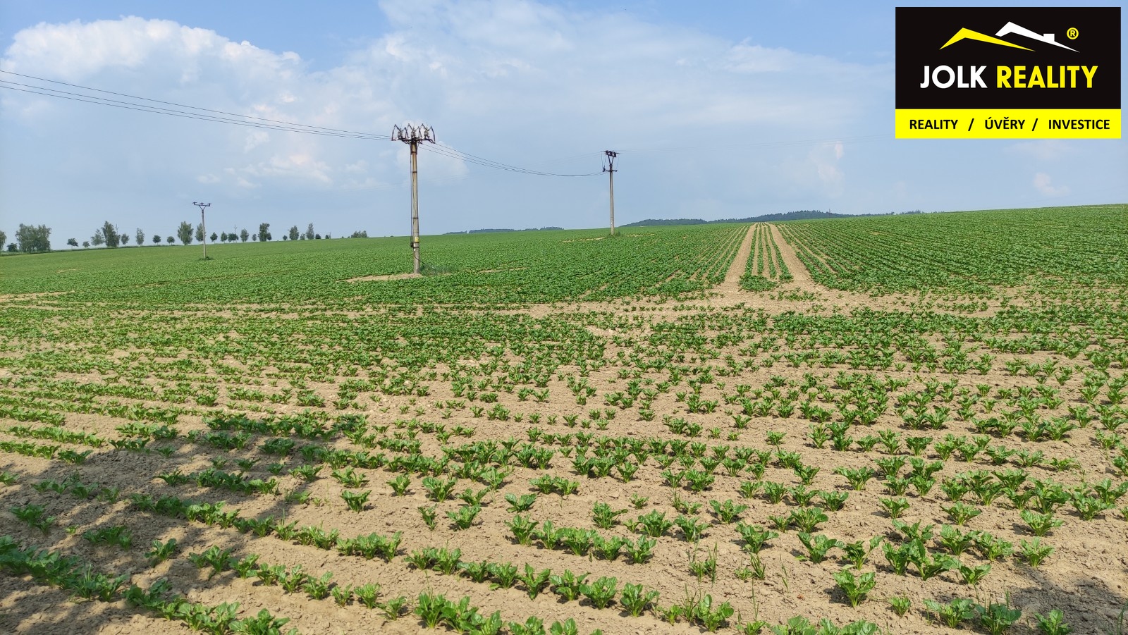 Realitní makléř Radek Svoboda; JOLK Reality; Výkup