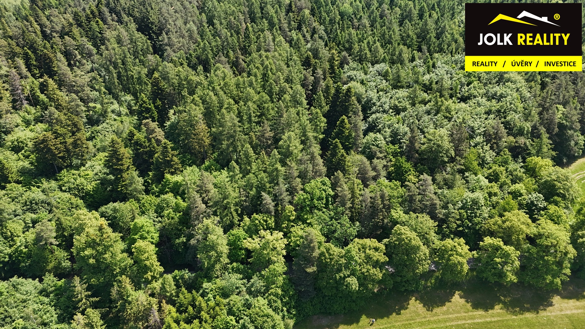 Prodej Lesa 13.182m2; Radek Svoboda Vršovice (5)