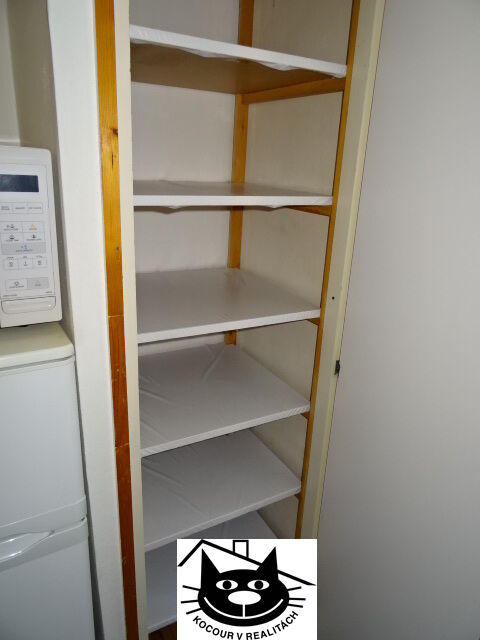 spíž