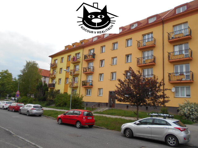 pohled na dům