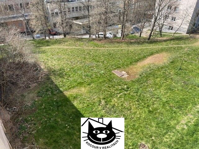zeleň před domem