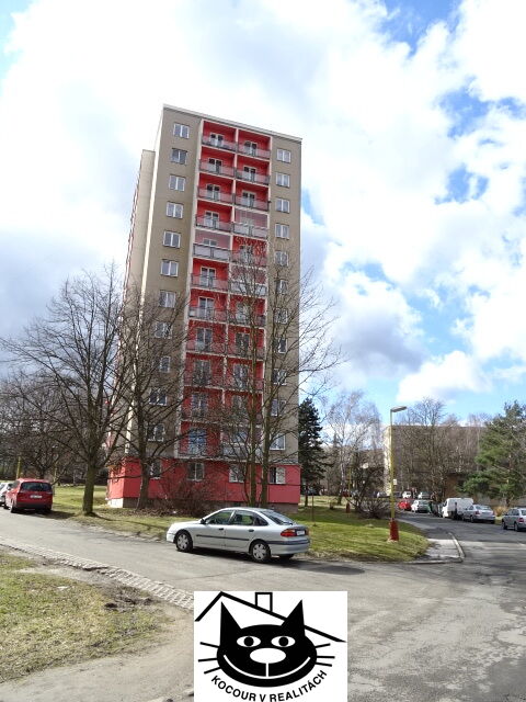 pohled na dům
