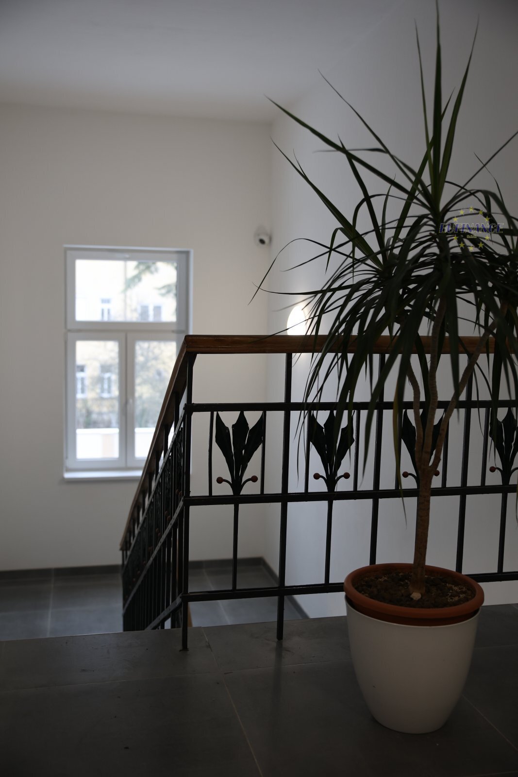 5O6A8292.JPG