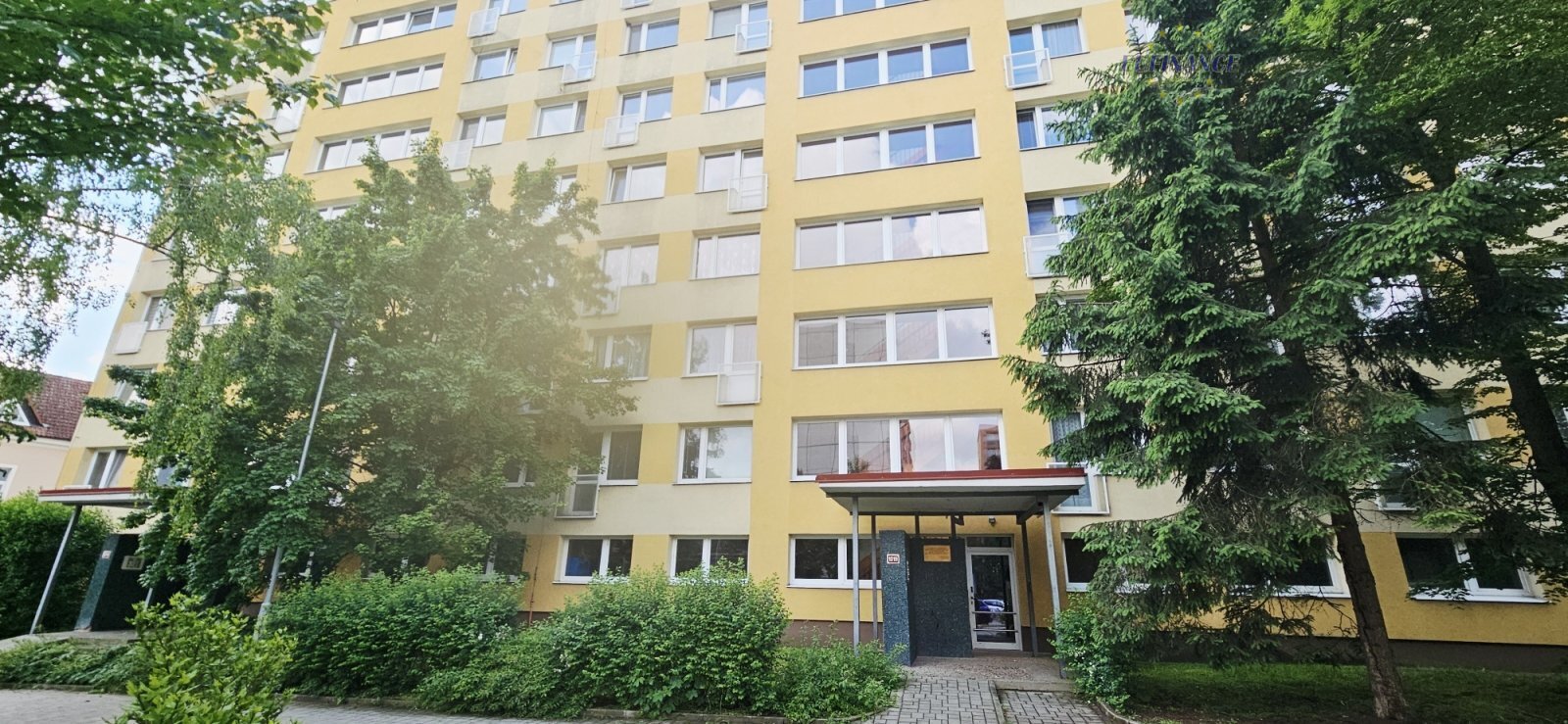05.jpg