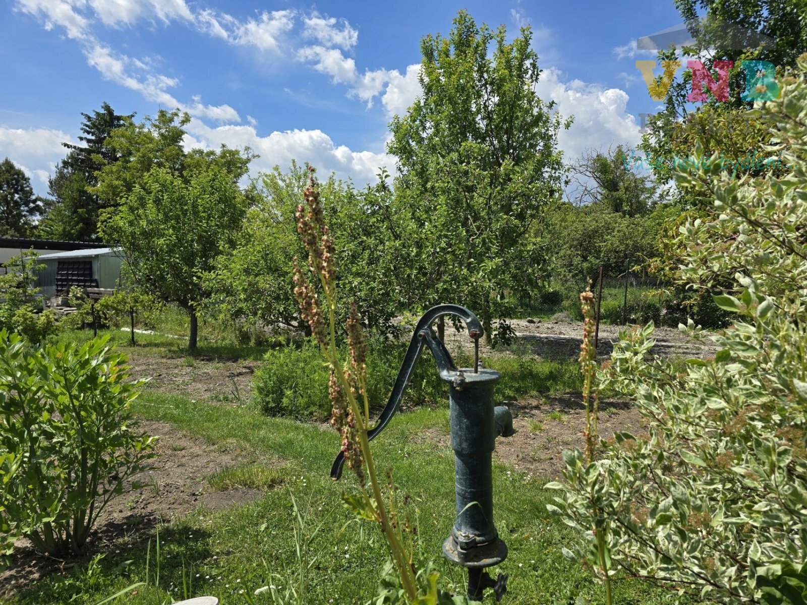 image001.jpg