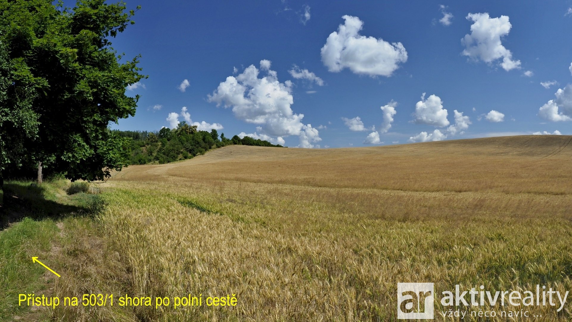 15 _Q111141_panorama
