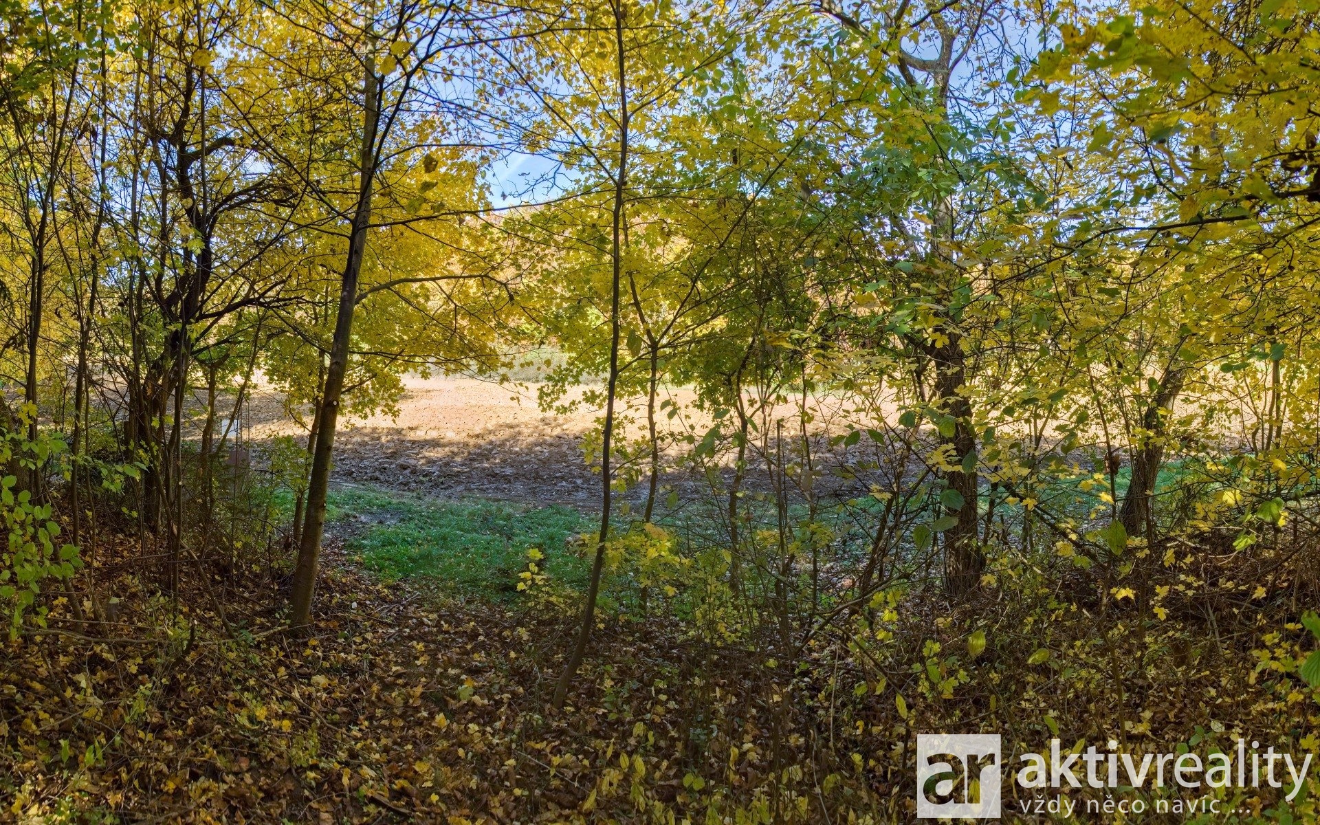 16_Q291765_panorama bezkotle (1) - Varianta 1