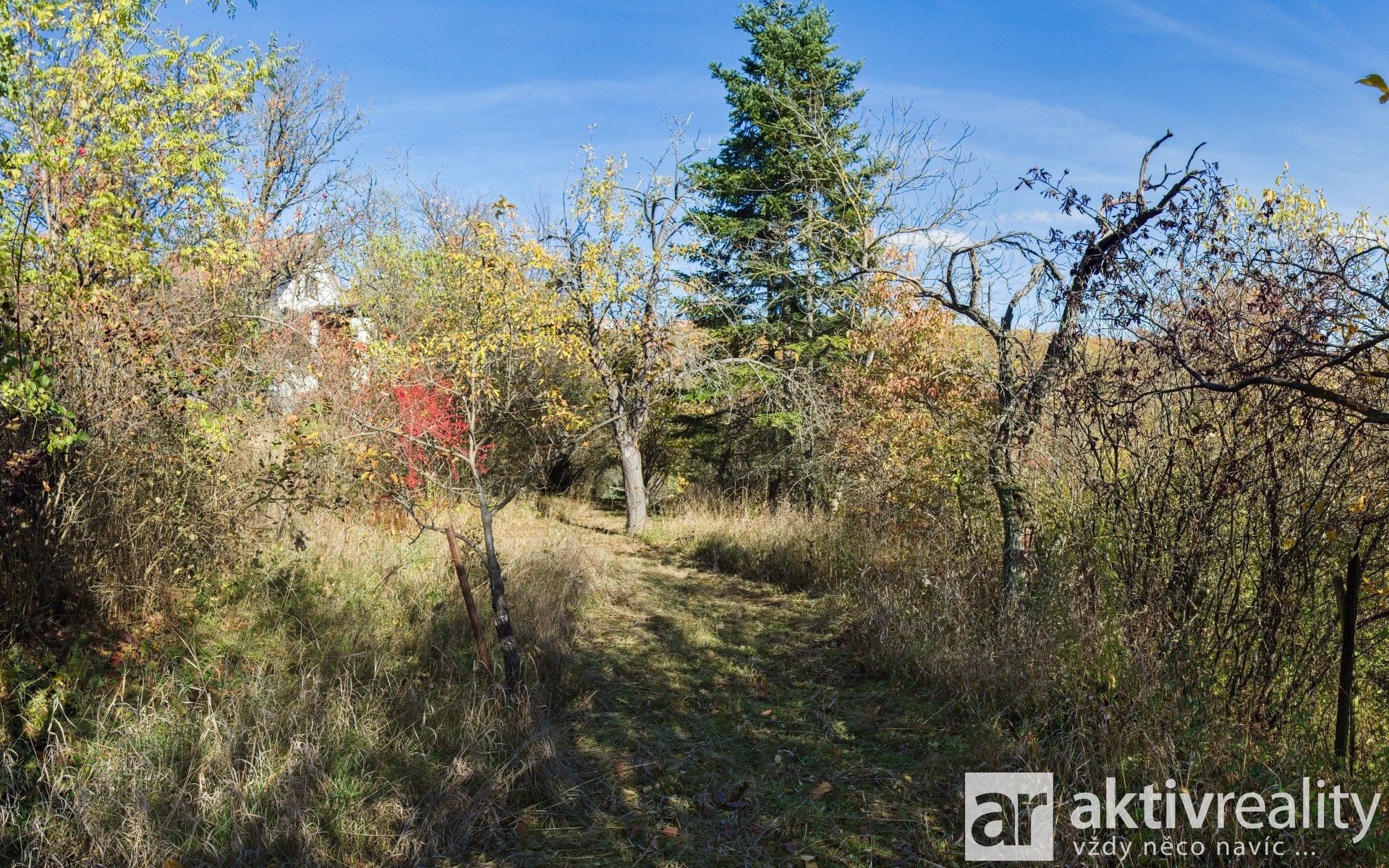 06_Q291695_panorama - Varianta 2