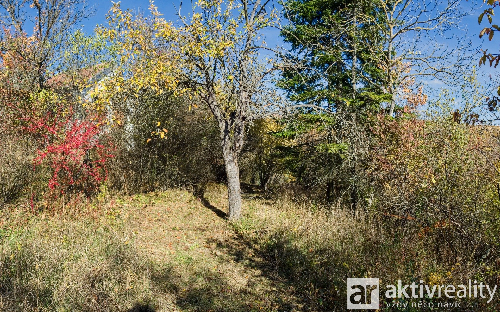 07_Q291699_panorama 48-48