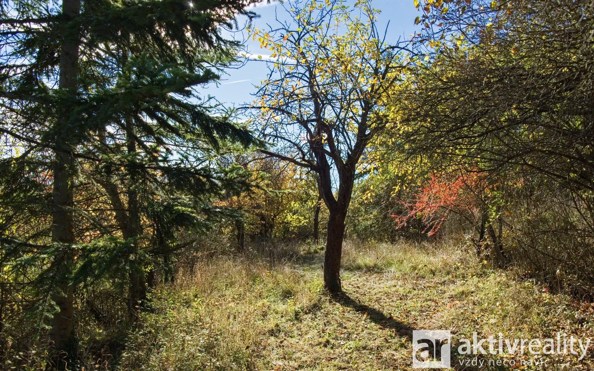 24_Q291798 - Varianta 1