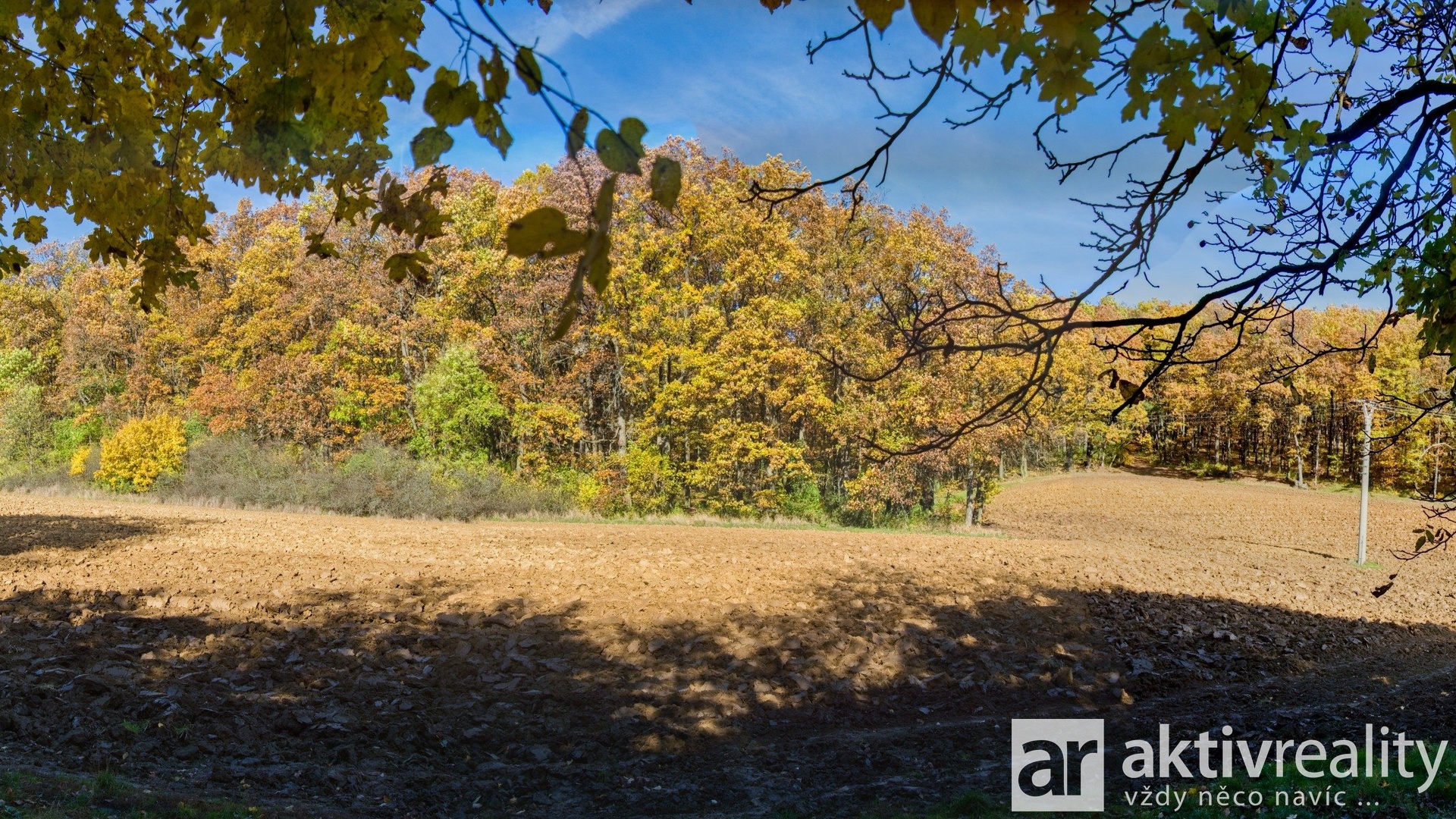 18_Q291777_panorama - Varianta 3