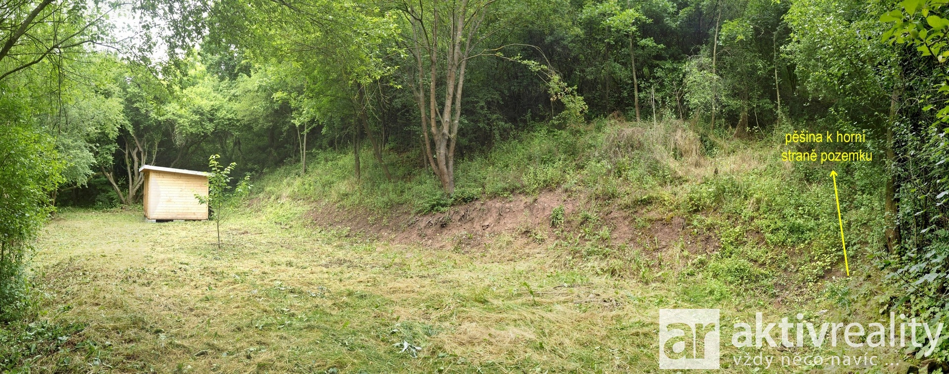 09_Q121190_panorama r