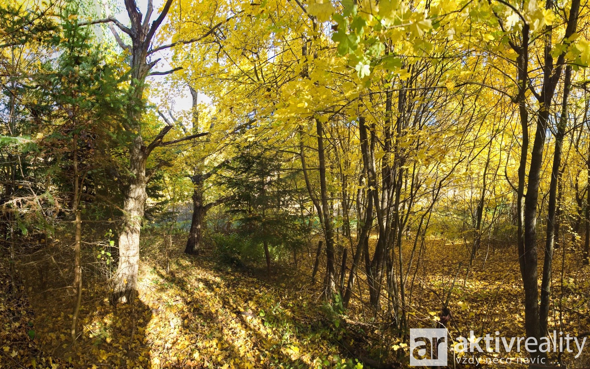 14_Q291759_panorama 5 - Varianta 1