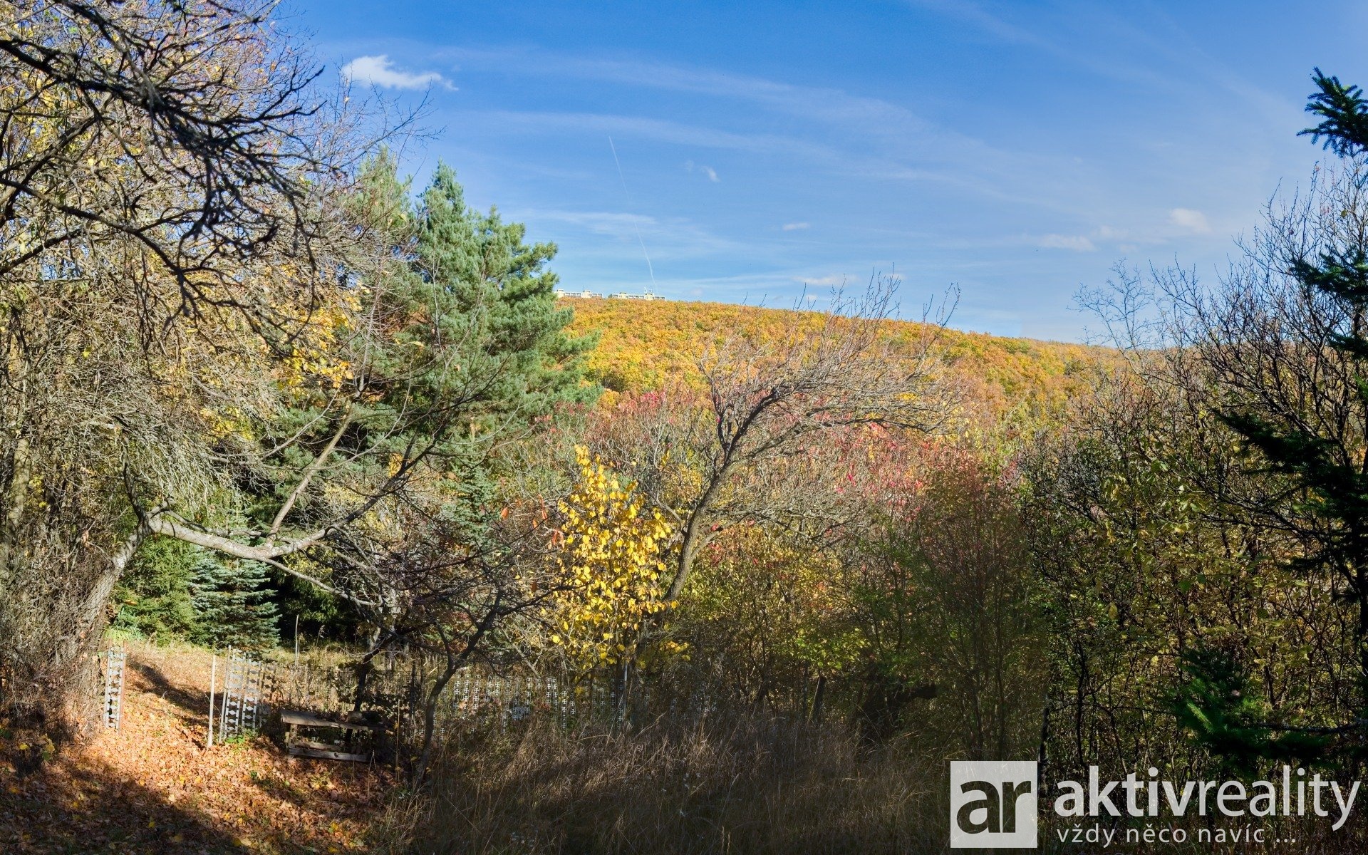 08_Q291707_panorama - Varianta 1