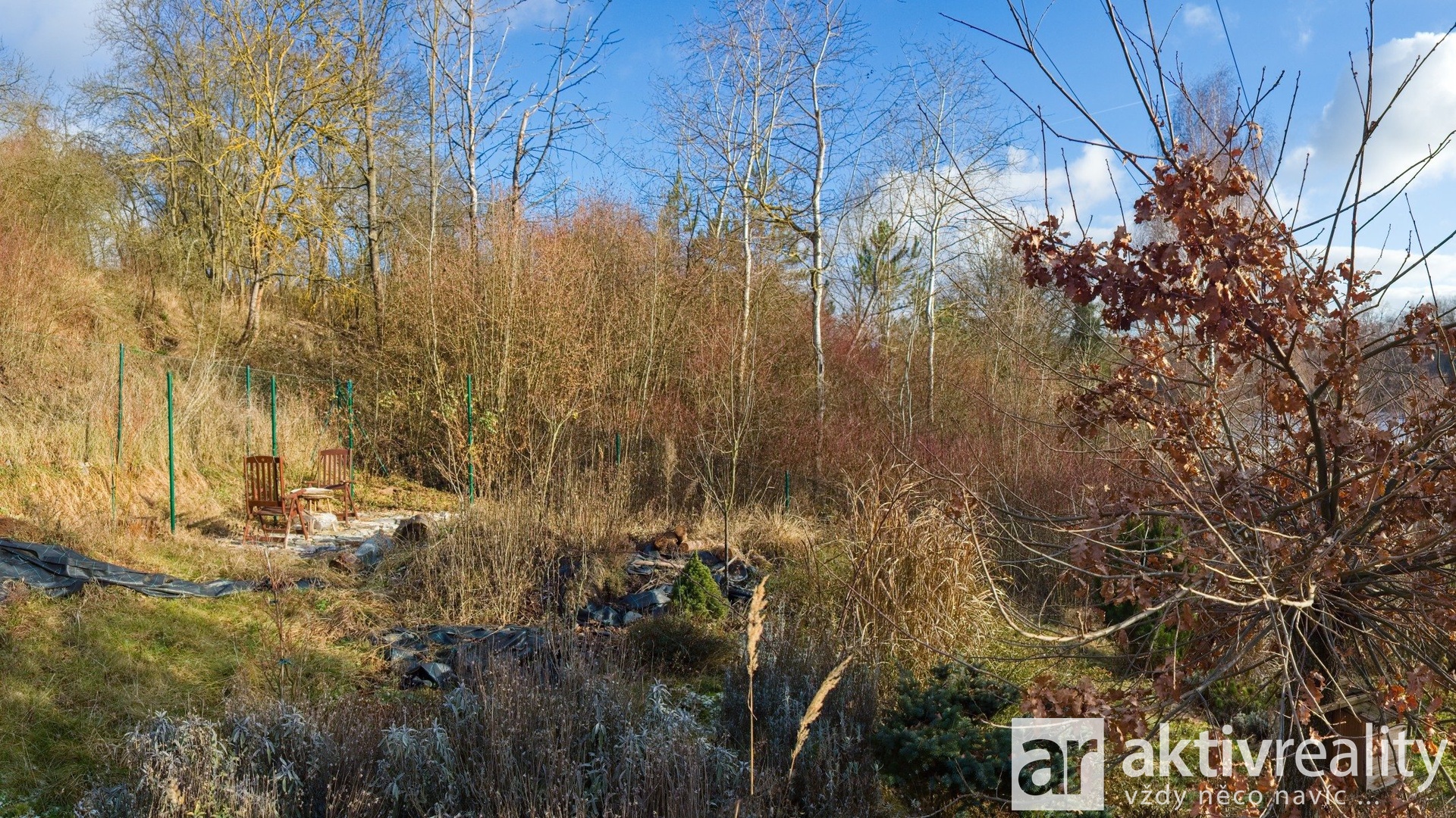 13 PC282203_panorama - Varianta 1