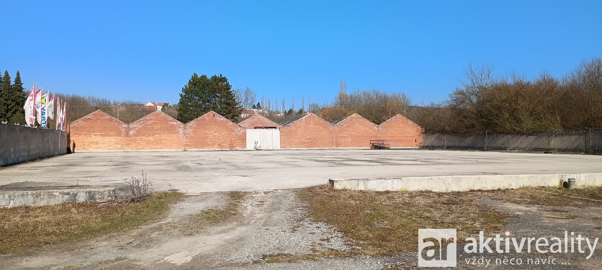 IMG_20260306_124252367