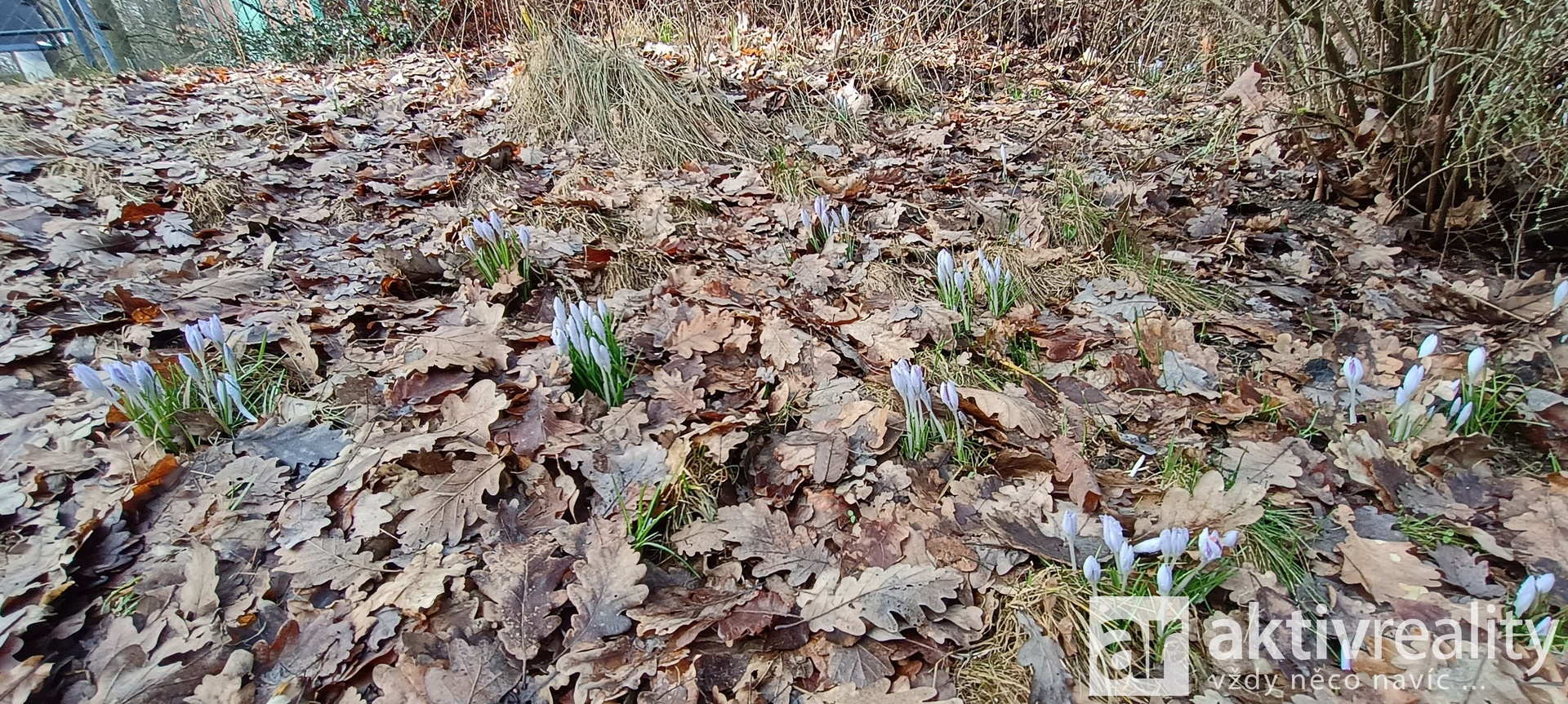 IMG_20260303_134949471