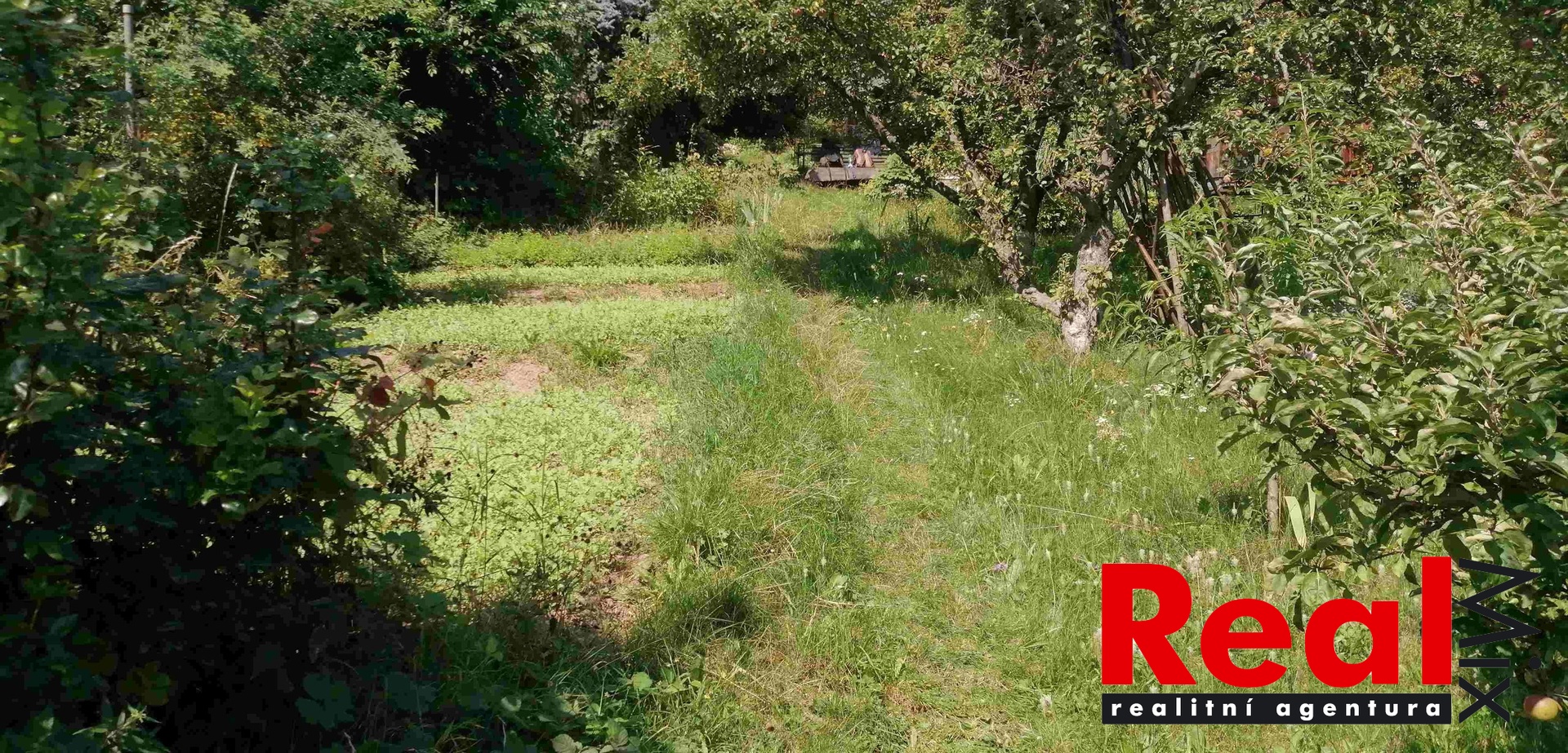 Pozemek Luleč pohled SZ_letní