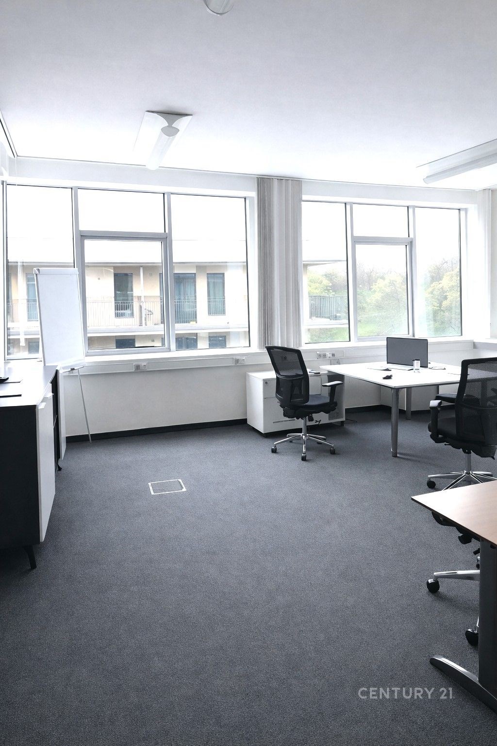 Kancelářský prostor s velkými okny, kobercovou podlahou a moderním vybavením. Světlé prostředí a výhled do zeleně.