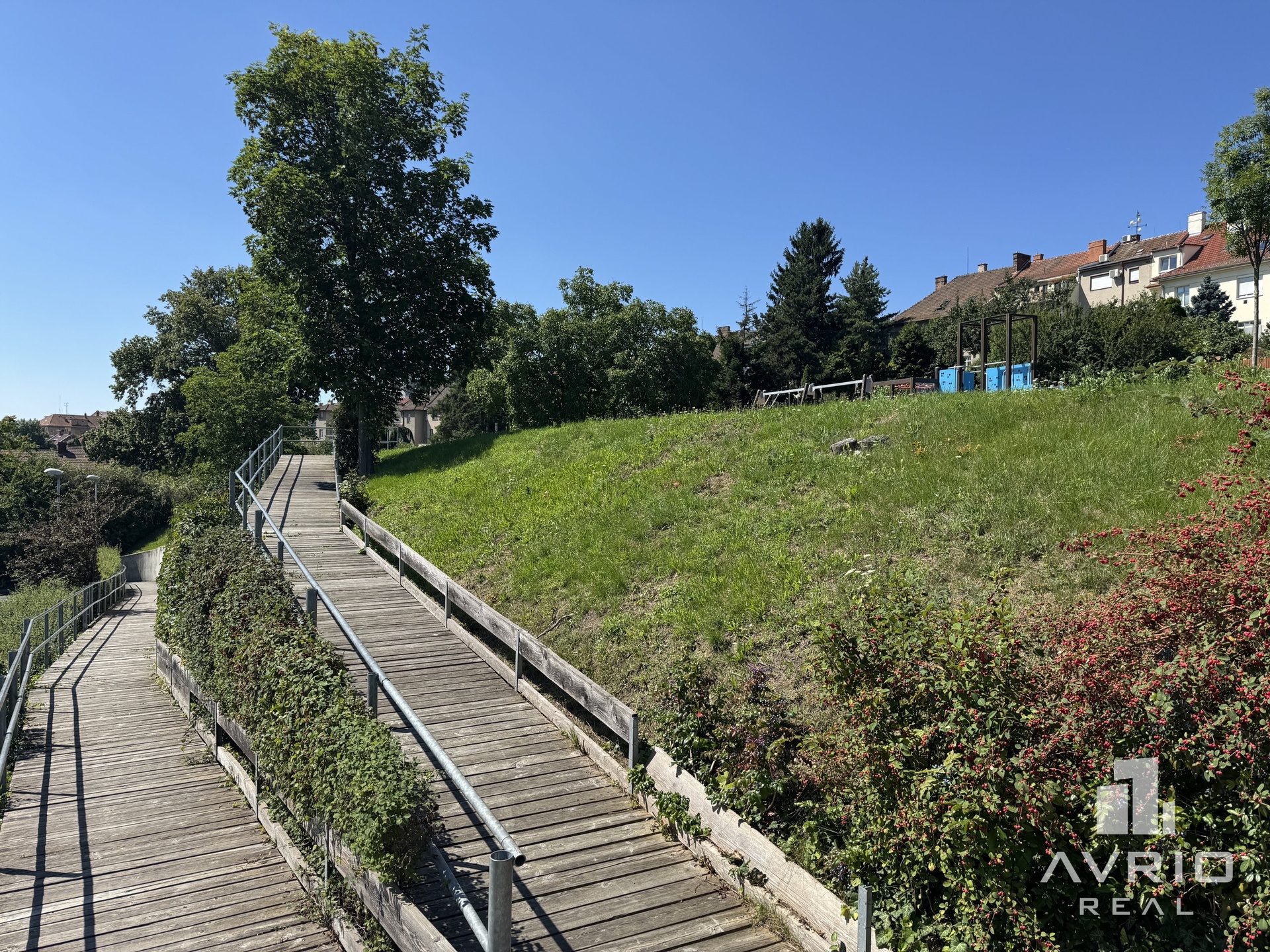 Park_Tis?novka_1