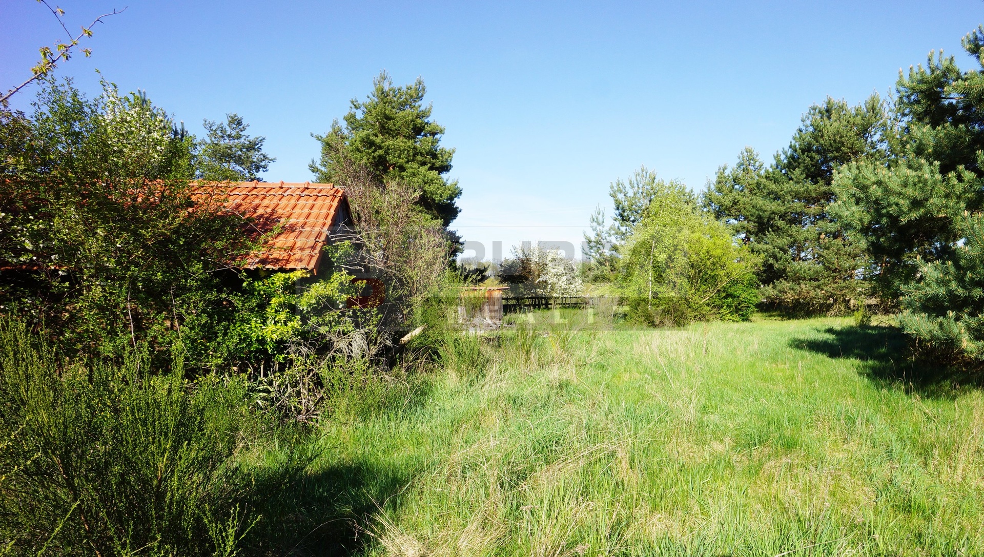 DSC02045