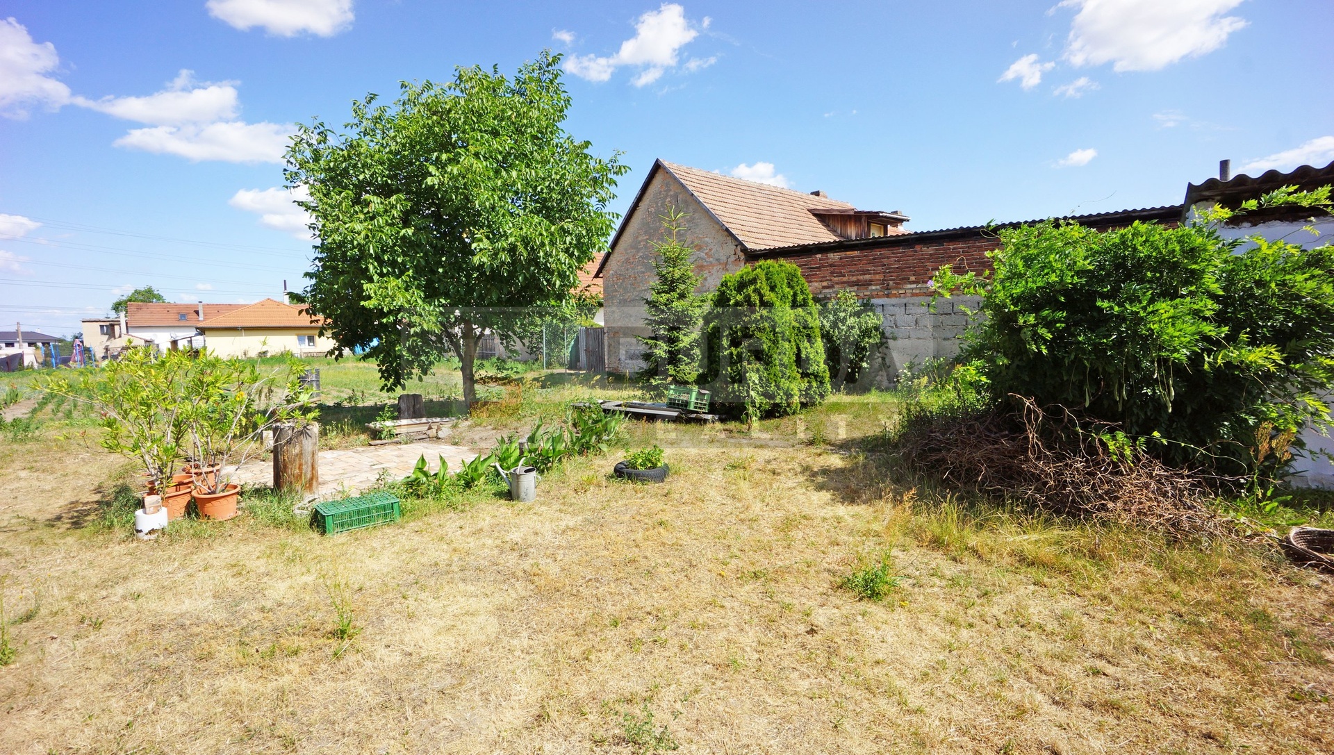 DSC07193