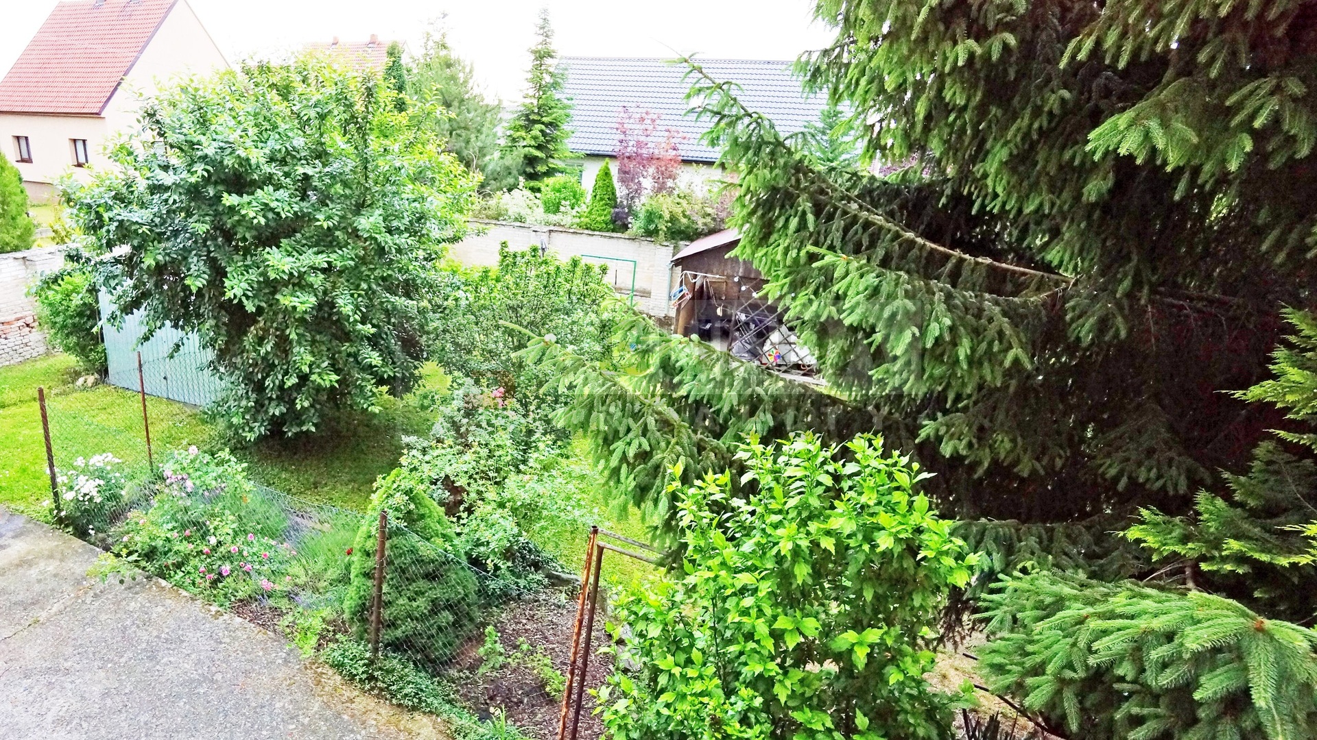 DSC07002