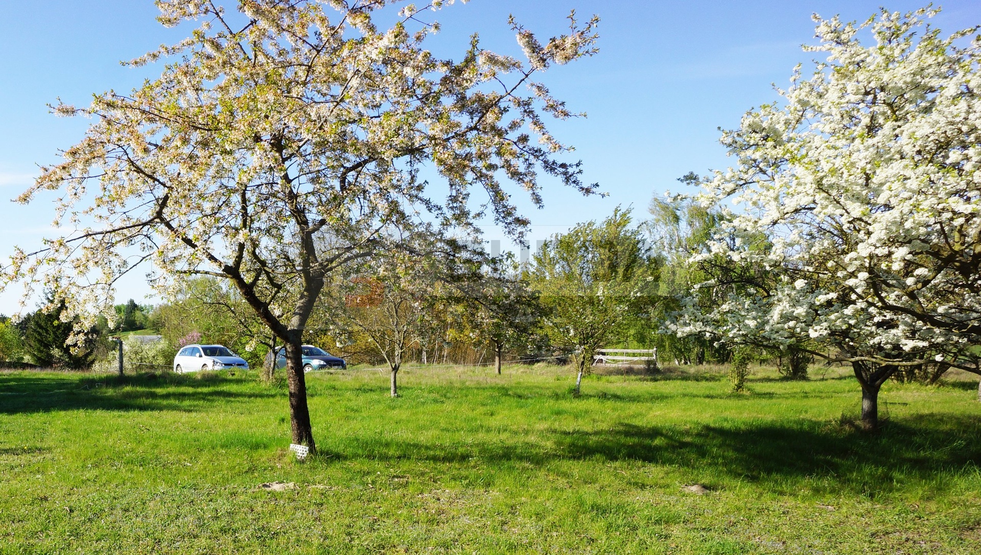 DSC02049